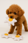 Nulce Studio Yumurta Şeklinde Peluş Köpek Oyuncağı