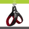 Nunbell Neoprenli, Reflektörlü Küçük Irk Köpek Göğüs Tasması - Görsel 2