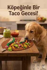 Nulce Studio Taco Şeklinde Koklama Matı